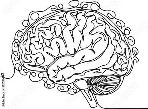 Human Brain Side View Vector – Artistic Sagittal Anatomy with Cerebrum, Cerebellum, and Brainstem Line Drawing for Neuroscience and Education