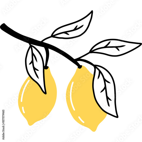 Hand-drawn lemons on a branch with leaves