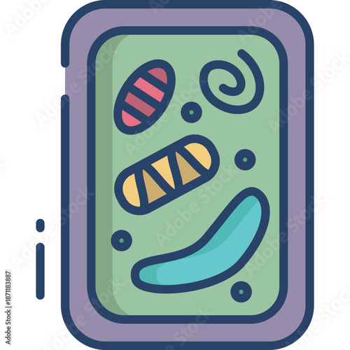 Illustration of a Plant Cell