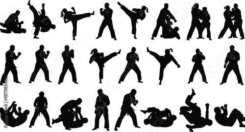 Martial arts silhouettes demonstrating diverse stances, kicks, punches, grappling, and defensive techniques showcasing strength, discipline, combat skills, and training practice