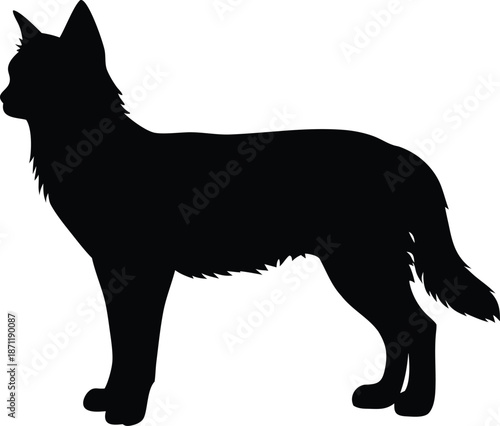 Strong Canine Silhouette Standing Alertly with Upright Ears and Distinctive Stance