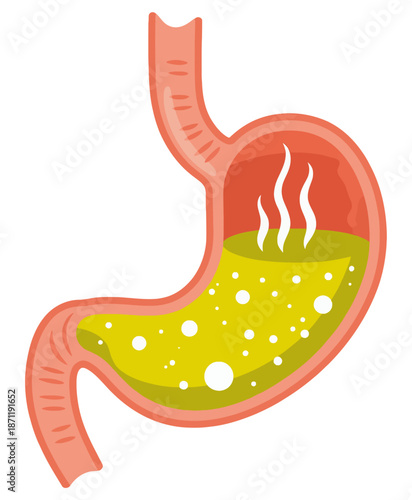 Stylized human stomach organ with yellow digestive fluid and steam