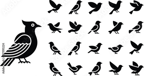 Bird silhouette icon set, flying perched songbird shapes, black white vector collection, minimalist animal symbols design pack modern flat illustration