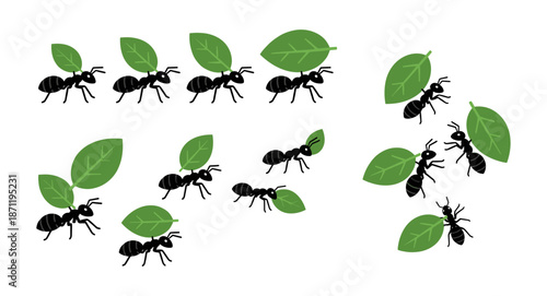 Ants carrying green leaves showing teamwork and cooperation