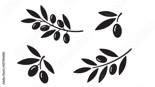 Black olive branch illustration with leaves and fruits on transparent background silhouette