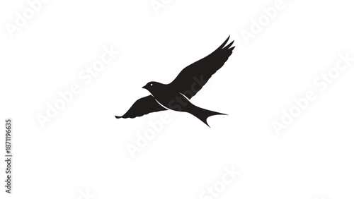 A bird in flight, soaring through the air with wings outstretched, captured from a side view.