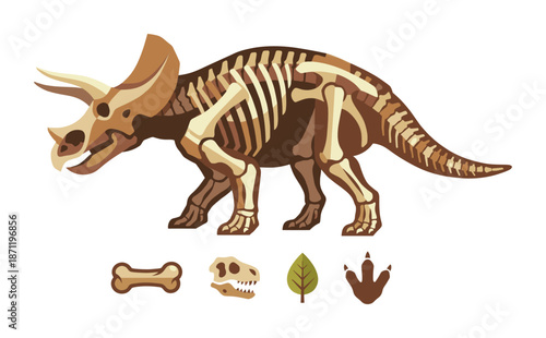 Triceratops skeleton and paleontology elements illustration flat design
