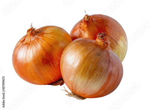 Wallpaper Mural Close-up of three fresh yellow onions Torontodigital.ca