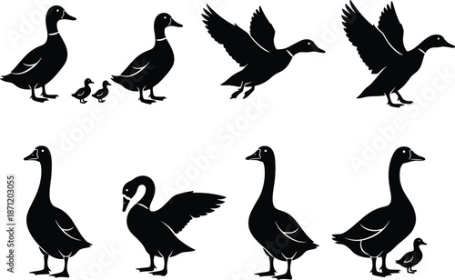 Goose and Duck Silhouette Set Showing Flying, Standing, and Family Poses, Black Bird Illustrations for Farm, Wildlife, Logo, and Design Use