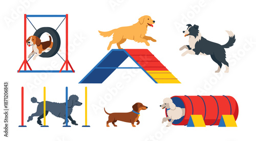 Dogs playing agility course with different breeds