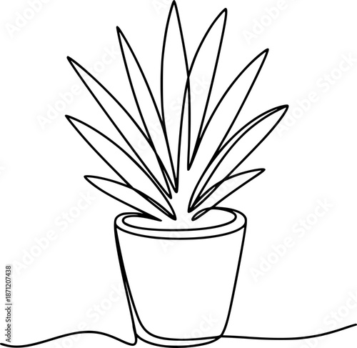 Single of a potted succulent plant with spiky leaves outline