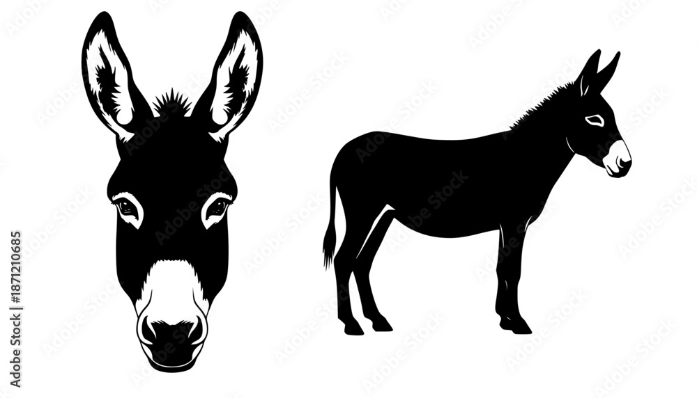 Fototapeta premium Illustration showing a donkey face and a donkey silhouette in black and white color scheme design editable vector 