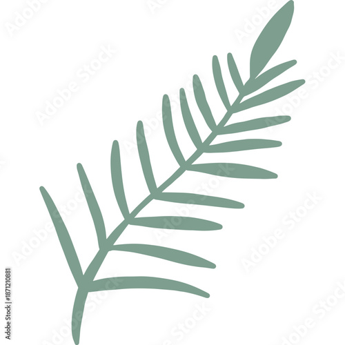 Minimalist Green Fern Frond Illustration
