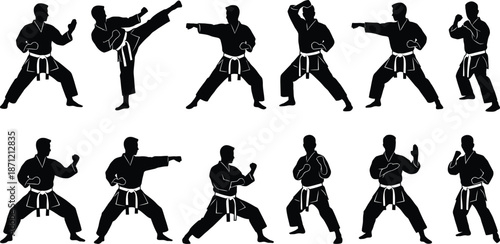 Karate Fighter Silhouette Vector Set on White Background