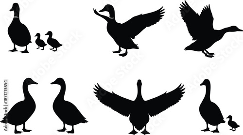 Duck Silhouette Collection with Adult Ducks and Ducklings, Black Waterfowl Poses in Standing and Flying Positions for Farm, Nature, and Wildlife Design Use