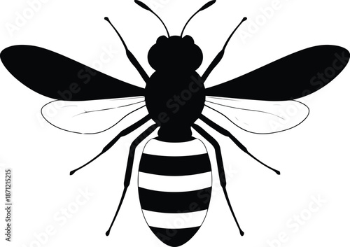 Minimalist line art bee icon with thin outlines and wavy leg details for modern branding projects