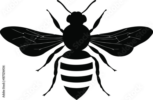 Minimalist line art bee icon with thin outlines and wavy leg details for modern branding projects