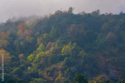 misty morning in the mountains