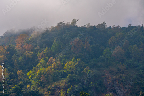 fog in the mountains