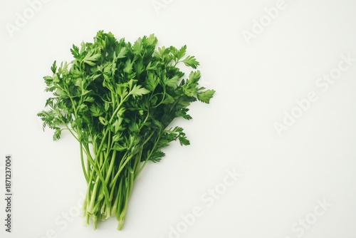 Wallpaper Mural Fresh bunch of green parsley herb isolated on white background Torontodigital.ca