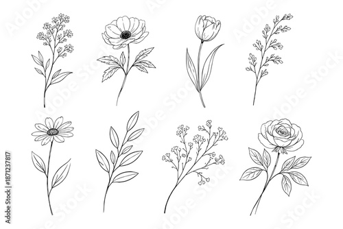 Elegant botanical line art of various flowers and leaves in minimalist style