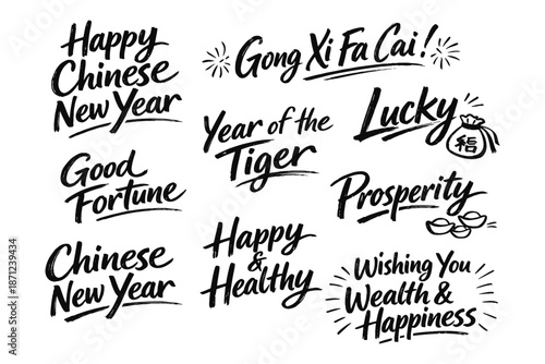 Celebratory chinese new year calligraphy with festive phrases for prosperity and luck