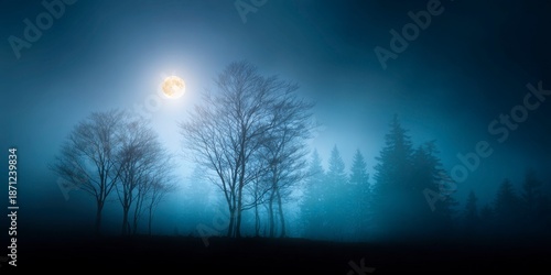 tree silhouettes against the moonlight, dark sky, foggy forest, scary atmosphere
