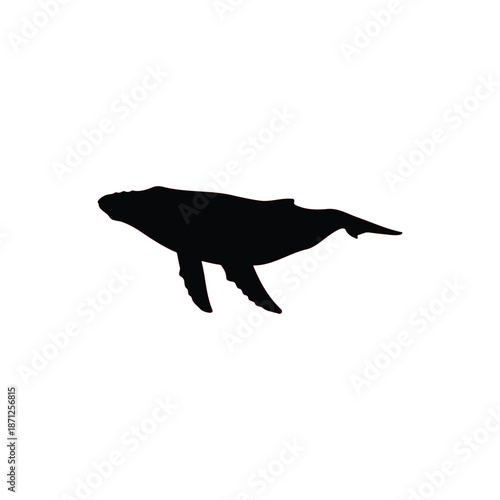 Humpback whale silhouette vector flat design on white background.