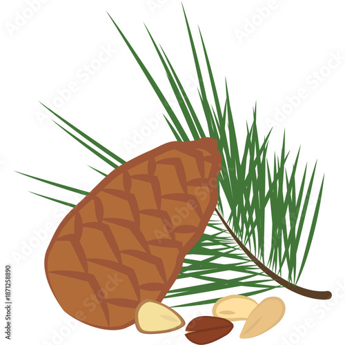 Pinecone, Pine Needles, and Pine Nuts