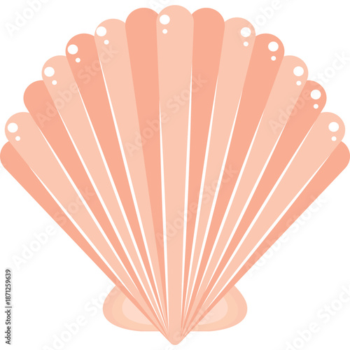 Pink Scallop Shell Illustration