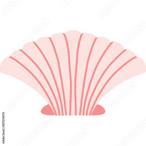 Pink Scallop Shell Illustration