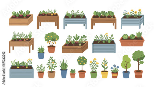 Urban gardening collection growing vegetables and herbs