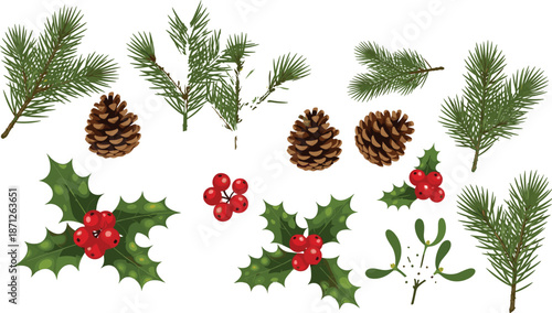 Christmas botanical set with pine branches, pinecones, holly leaves, red berries, and mistletoe, cad drawing flat vector illustration for holiday designs.