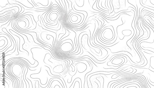 Abstract Topographic Map - White Contours on a Clean Background.