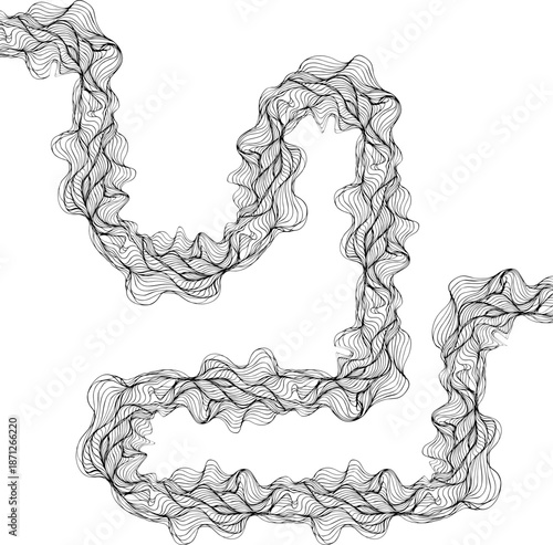 Irregular rounded path composed of continuous flowing lines with organic curvature.