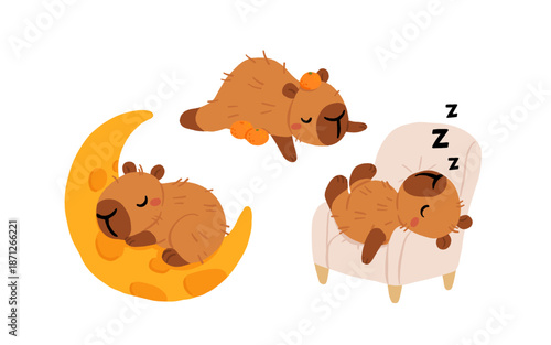 Sleeping capybara. Nap vector set with moon and armchair. Cute cozy animal illustration for bedtime and relaxation. Nursery stickers design. Clipart for social media