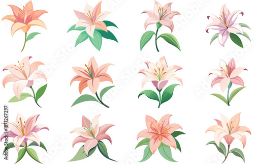 Botanical Plant and Flower Illustration Bundle Featuring Tropical Leaves, Succulents, Cactus, Ferns and Floral Elements, Nature Inspired Flat Vector Icons Isolated on White Background