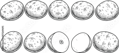 Potato illustration sketch, whole sliced potato drawing, fresh vegetable engraving, food ingredient set, cad drawing flat vector illustration black white