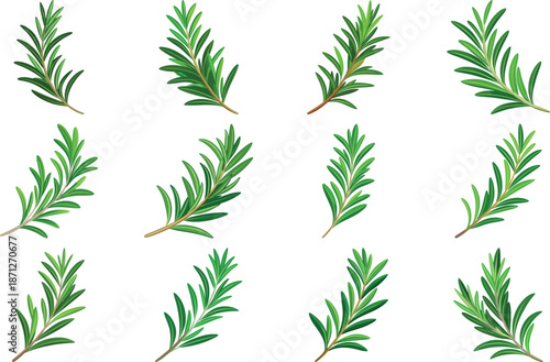 Botanical Plant and Flower Illustration Bundle Featuring Tropical Leaves, Succulents, Cactus, Ferns and Floral Elements, Nature Inspired Flat Vector Icons Isolated on White Background