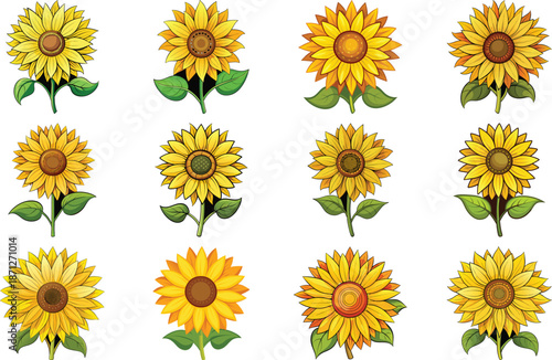 Botanical Plant and Flower Illustration Bundle Featuring Tropical Leaves, Succulents, Cactus, Ferns and Floral Elements, Nature Inspired Flat Vector Icons Isolated on White Background