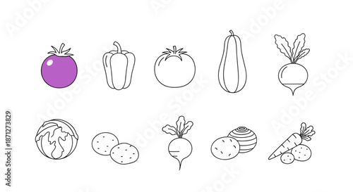 Set of simple vegetable icons in a clean line art style with one purple tomato to represent creativity or uniqueness in food.