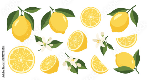 Large set of fresh yellow lemons in various forms including whole sliced with leaves and blossoms for a bright summer design.