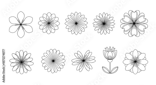 A beautiful collection of ten simple geometric flower icons in a clean black outline style isolated on a white background.