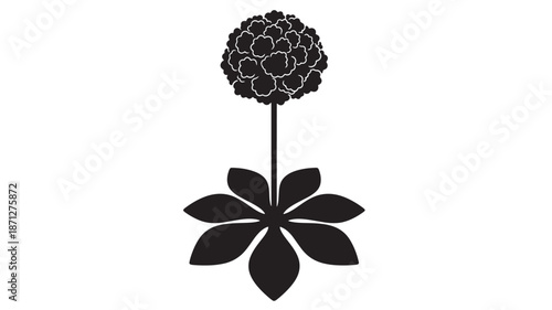 Detailed clover flower illustration with leaves a stunning vector silhouette on transparent background