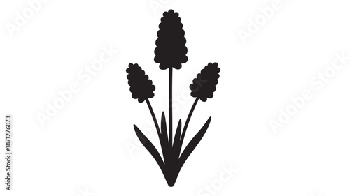 Elegant lavender flower illustration ideal for design projects on transparent background silhouette
