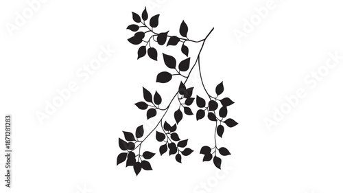 Bild auf Leinwand Elegant branch with leaves a beautiful black silhouette on transparent backgroun