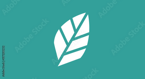 Minimal white leaf design on teal