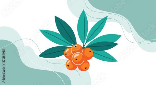 Cluster of bright orange berries on a green leafy branch set against an abstract teal and white background.