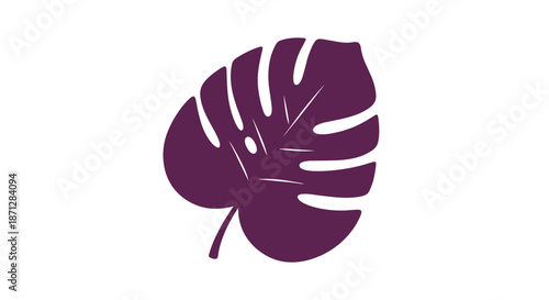 Silhouette of a single monstera leaf in a deep purple color with characteristic splits and holes isolated on a white space.
