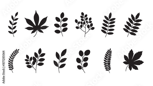 Collection of various leaf silhouettes on transparent background